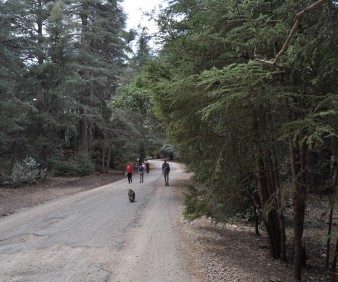 Atlas Mountains landscapes tour