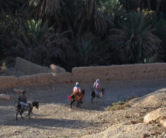 Sahara trekking tour