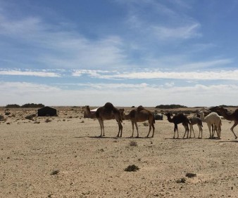 Sahara walking tours with a small group