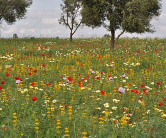 Visiting Northern Morocco