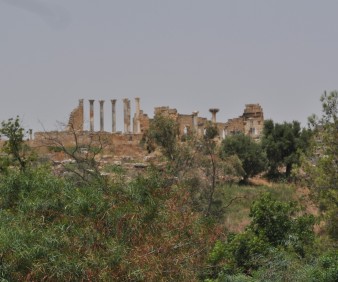 Volubilis Archeological tour 