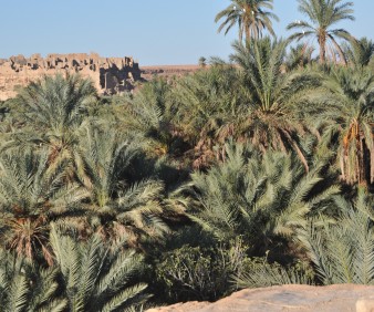 Visiting Marrakech